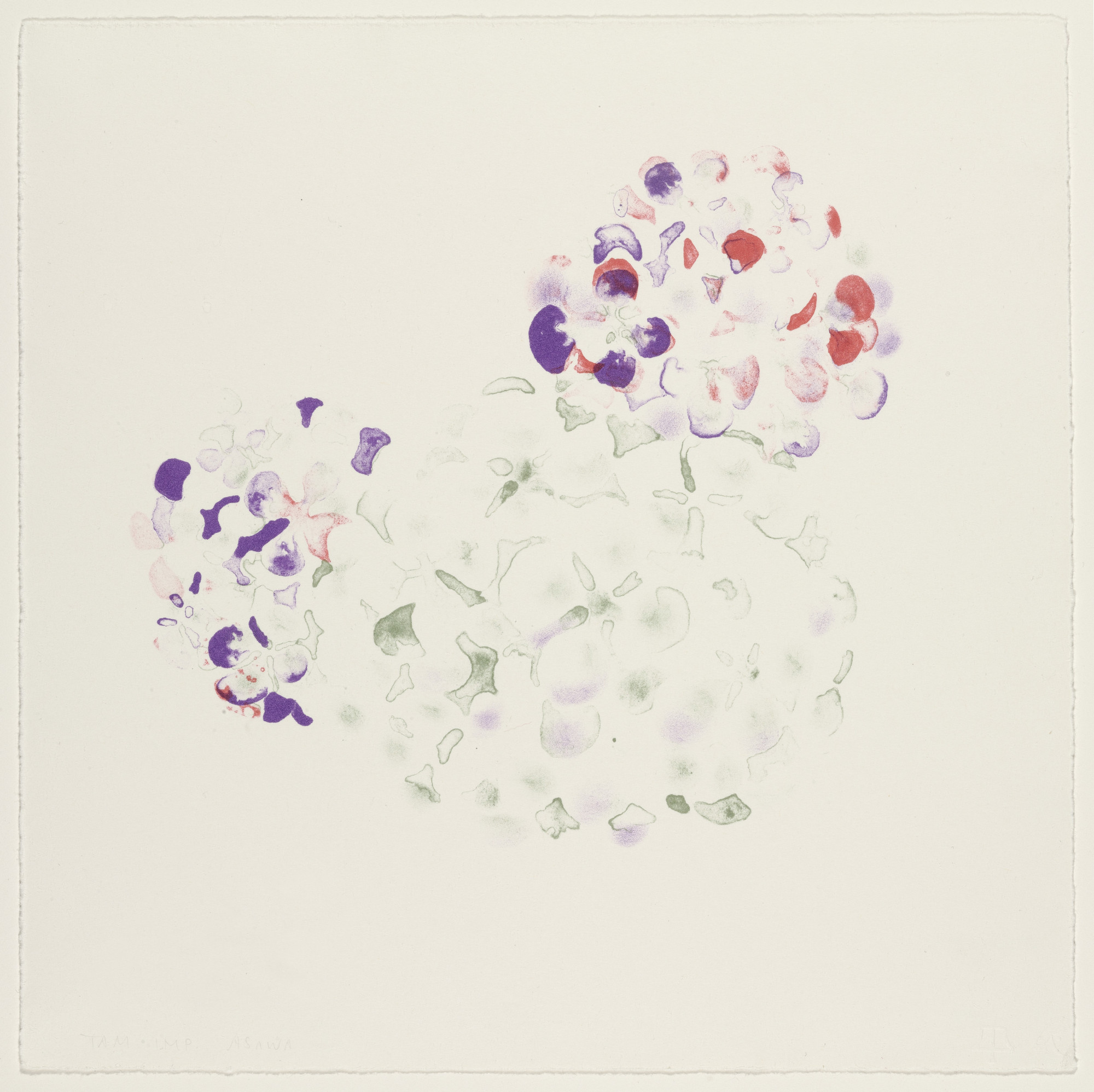 Ruth Asawa. Untitled (TAM.1494, Three Hydrangeas)