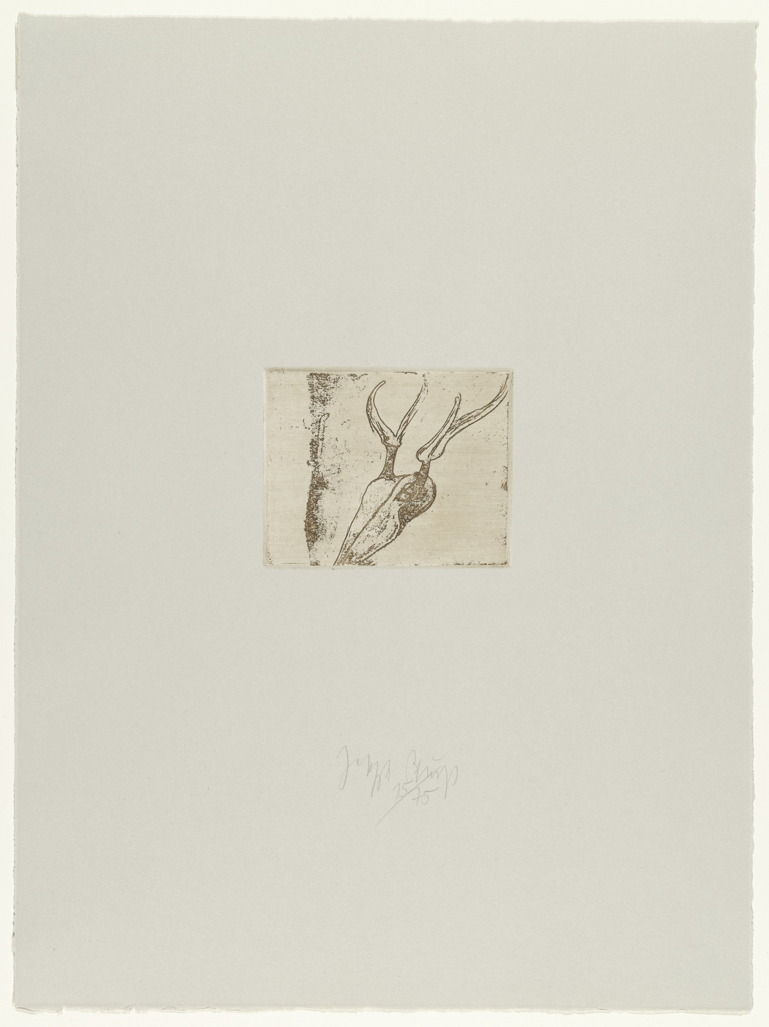 Joseph Beuys. Stag's Skull (Hirschschädel)
