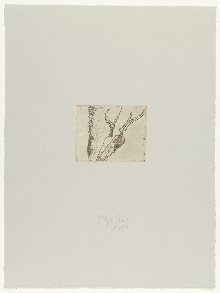 Stag's Skull (Hirschschädel)