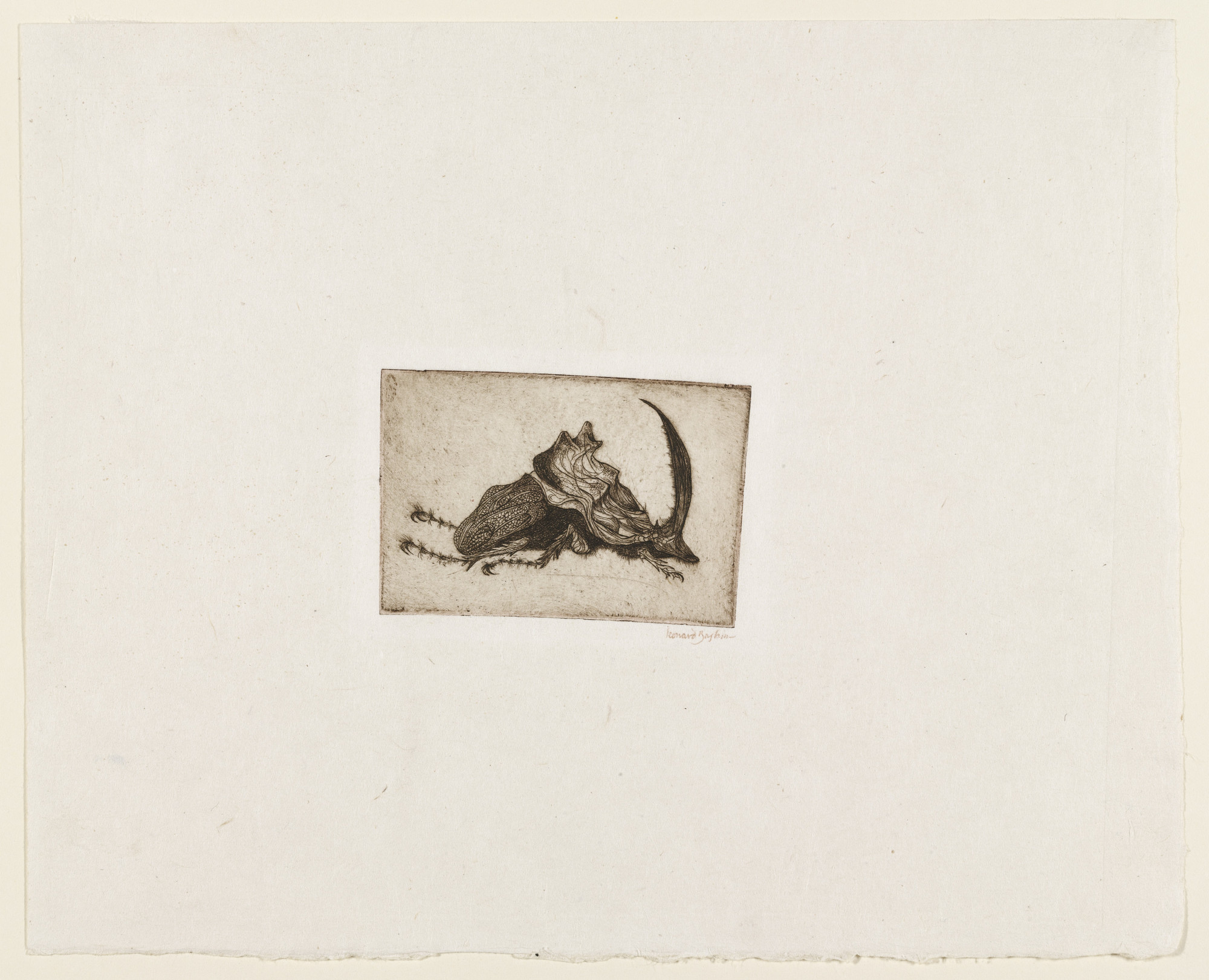 Leonard Baskin. Phaeneus Lancifer from Horned Beetles and Other Insects