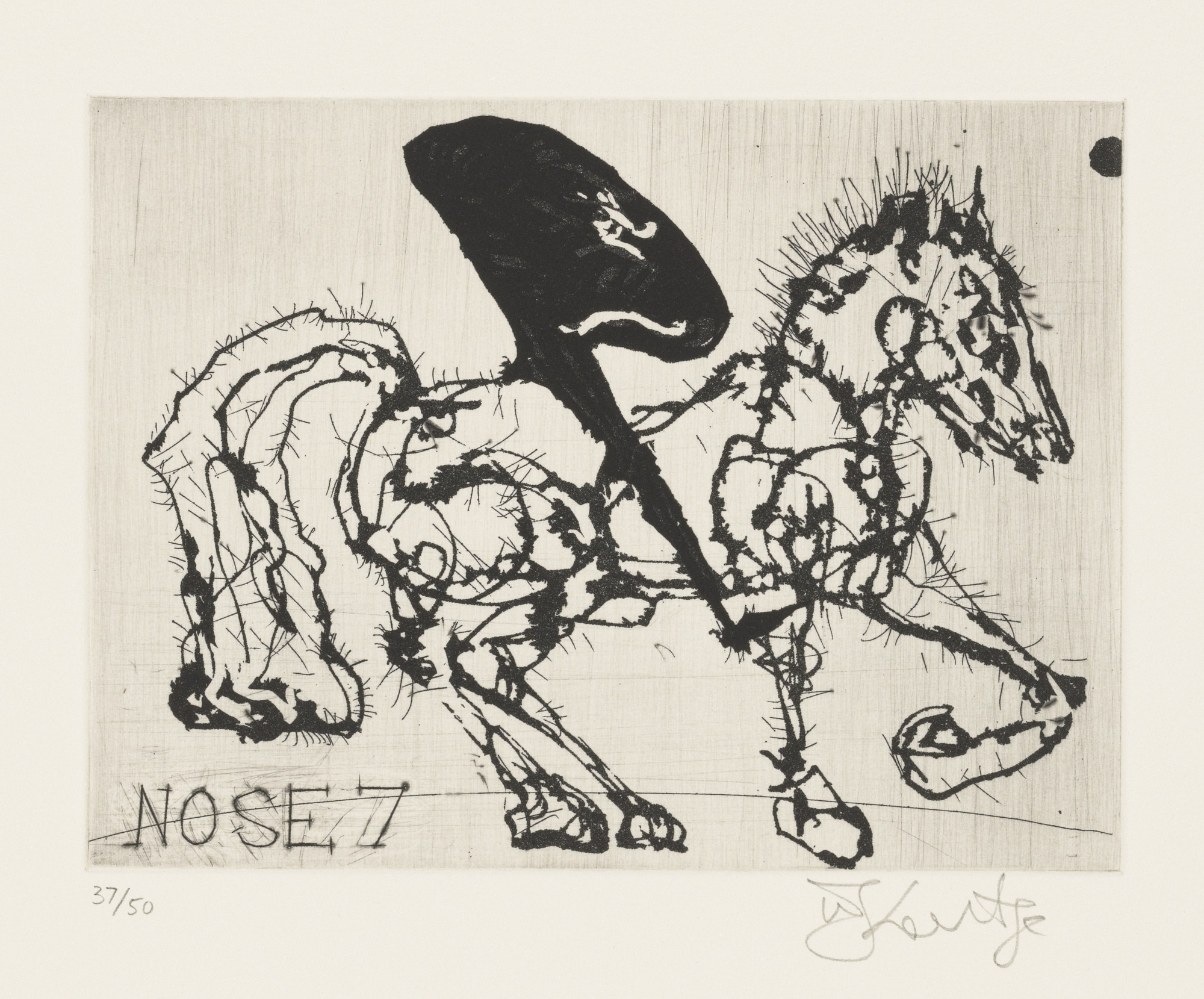 William Kentridge. Nose 7 from Nose