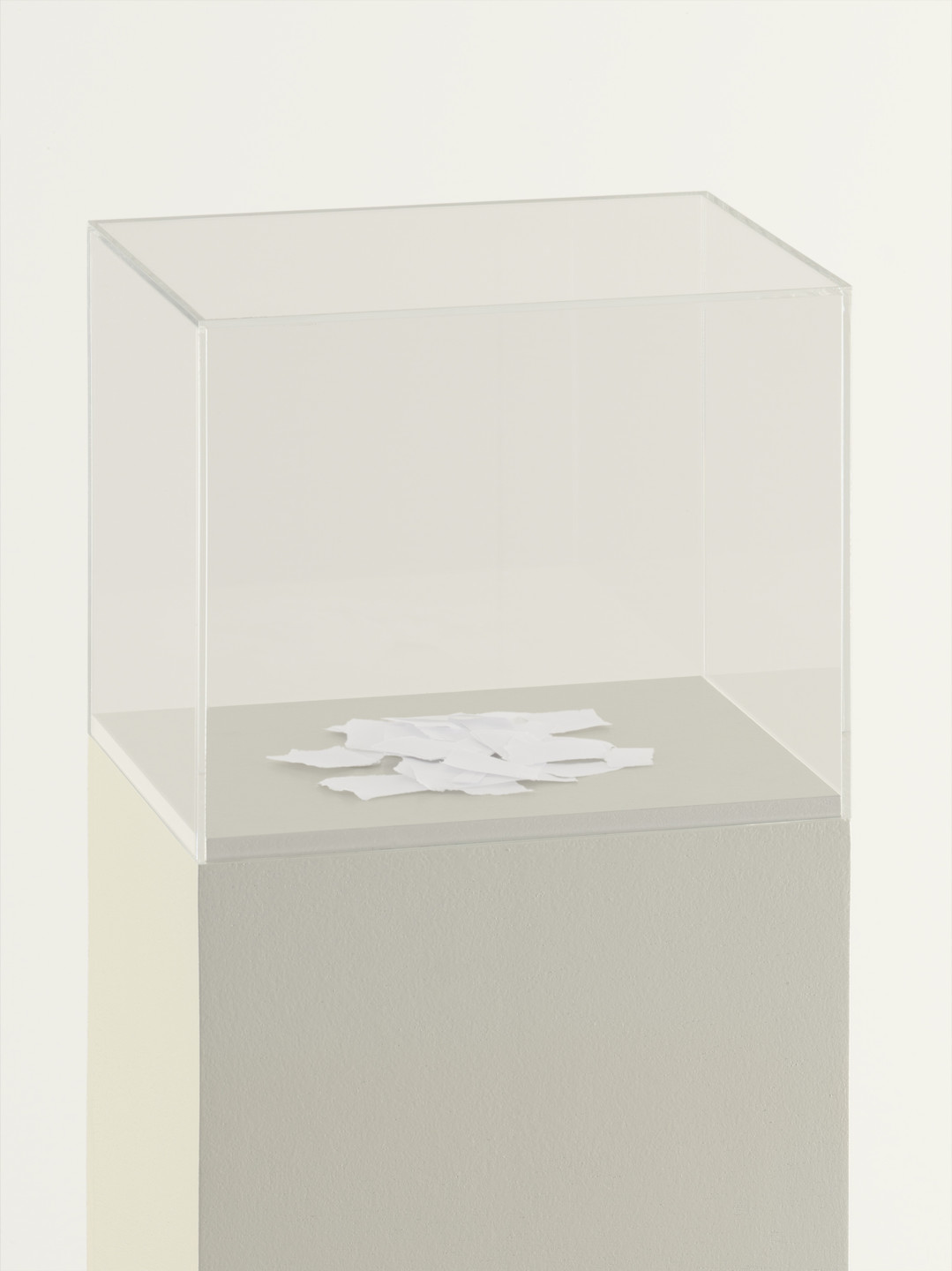 Martin Creed. Work No. 309: A sheet of paper torn up. (2003)