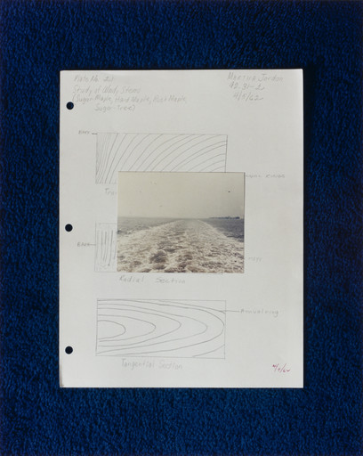 Leslie Hewitt. Riffs on Real Time. 2002-05
