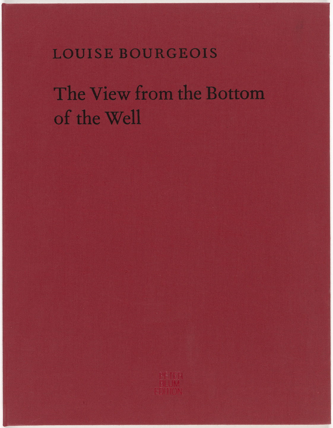 Louise Bourgeois. The View from the Bottom of the Well. 1996