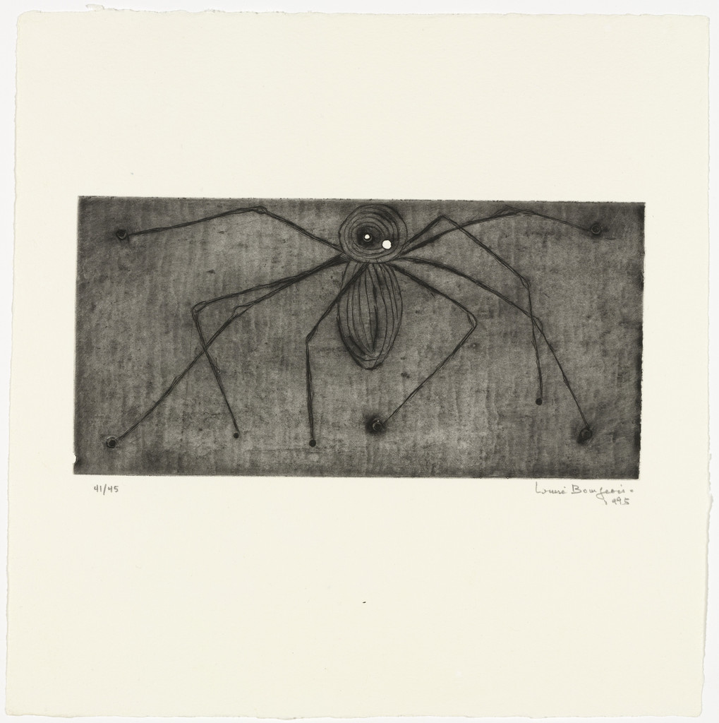 Spider