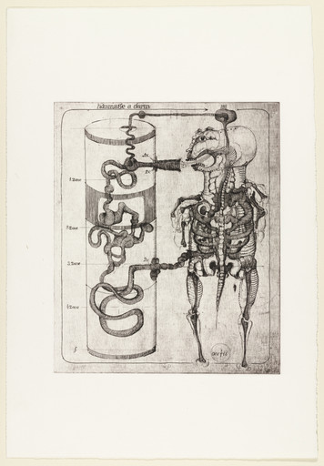 Homage to Intestine