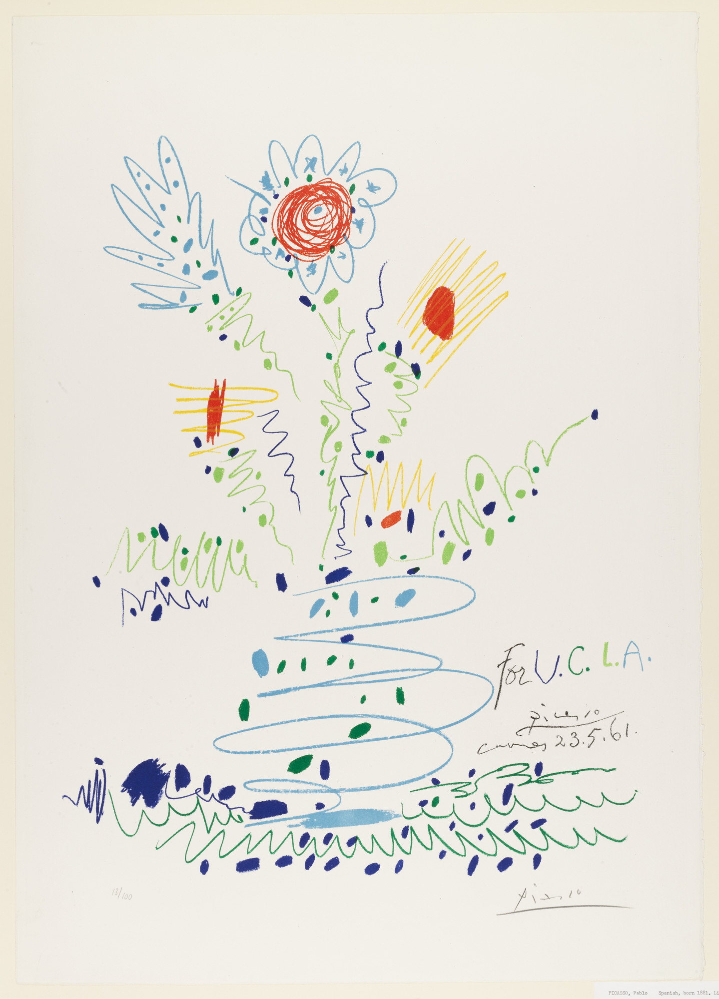 Pablo Picasso. Flowers (for U.C.L.A.) (Fleurs [for U.C.L.A.