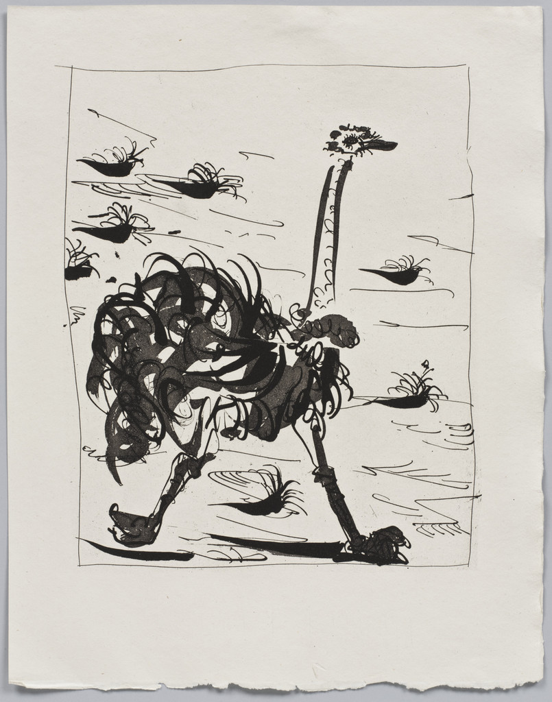 The Ostrich (L'Autruche) (plate XVI) from Eaux-fortes originale pour des textes de Buffon (Histoire naturelle)