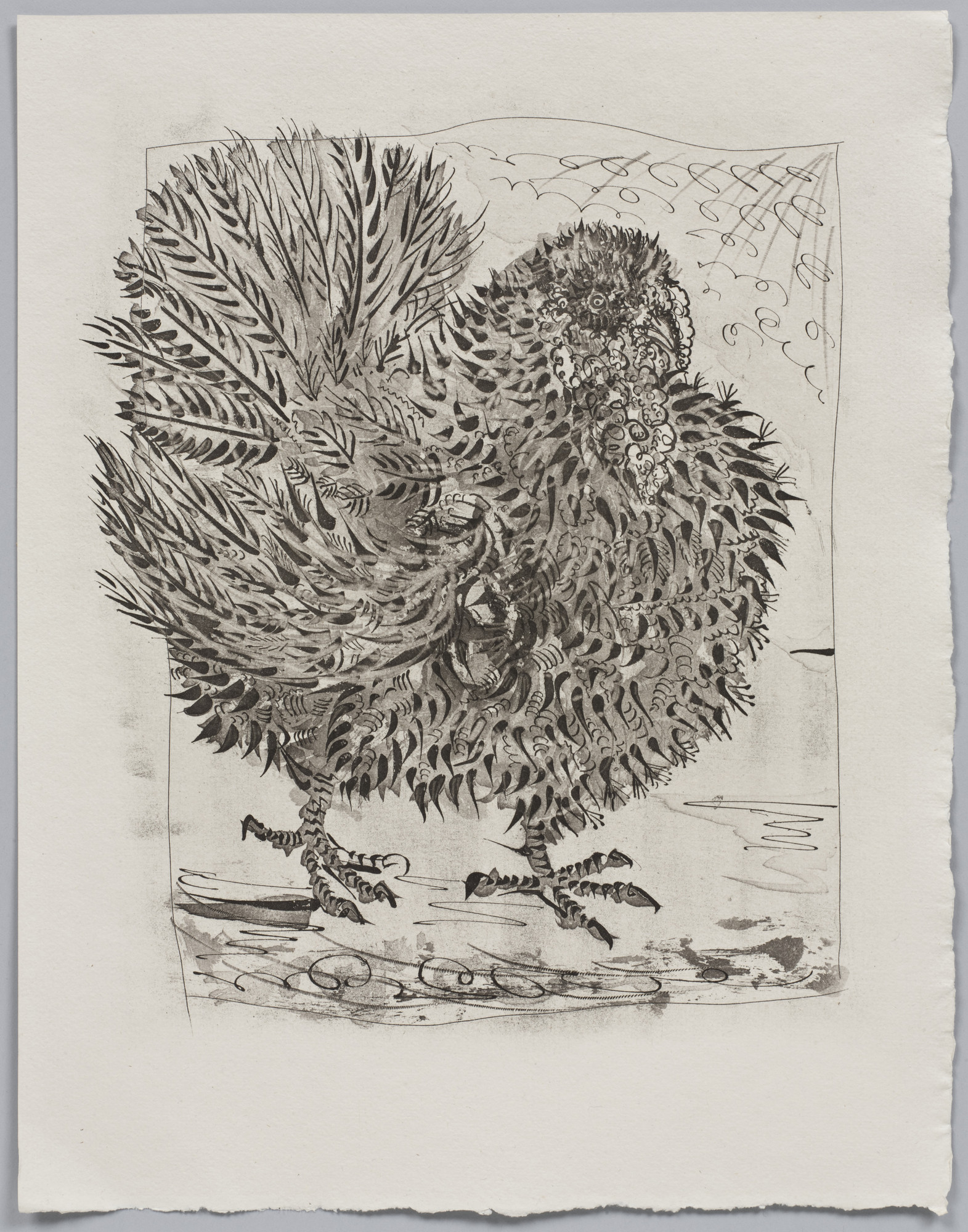 Pablo Picasso. The Turkey (Le Dindon) (plate XIX, facing page 122) from Eaux-fortes originale pour des textes de Buffon (Histoire naturelle)