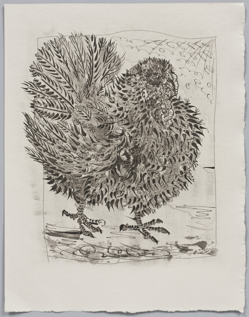 The Turkey (Le Dindon) (plate XIX, facing page 122) from Eaux-fortes originale pour des textes de Buffon (Histoire naturelle)