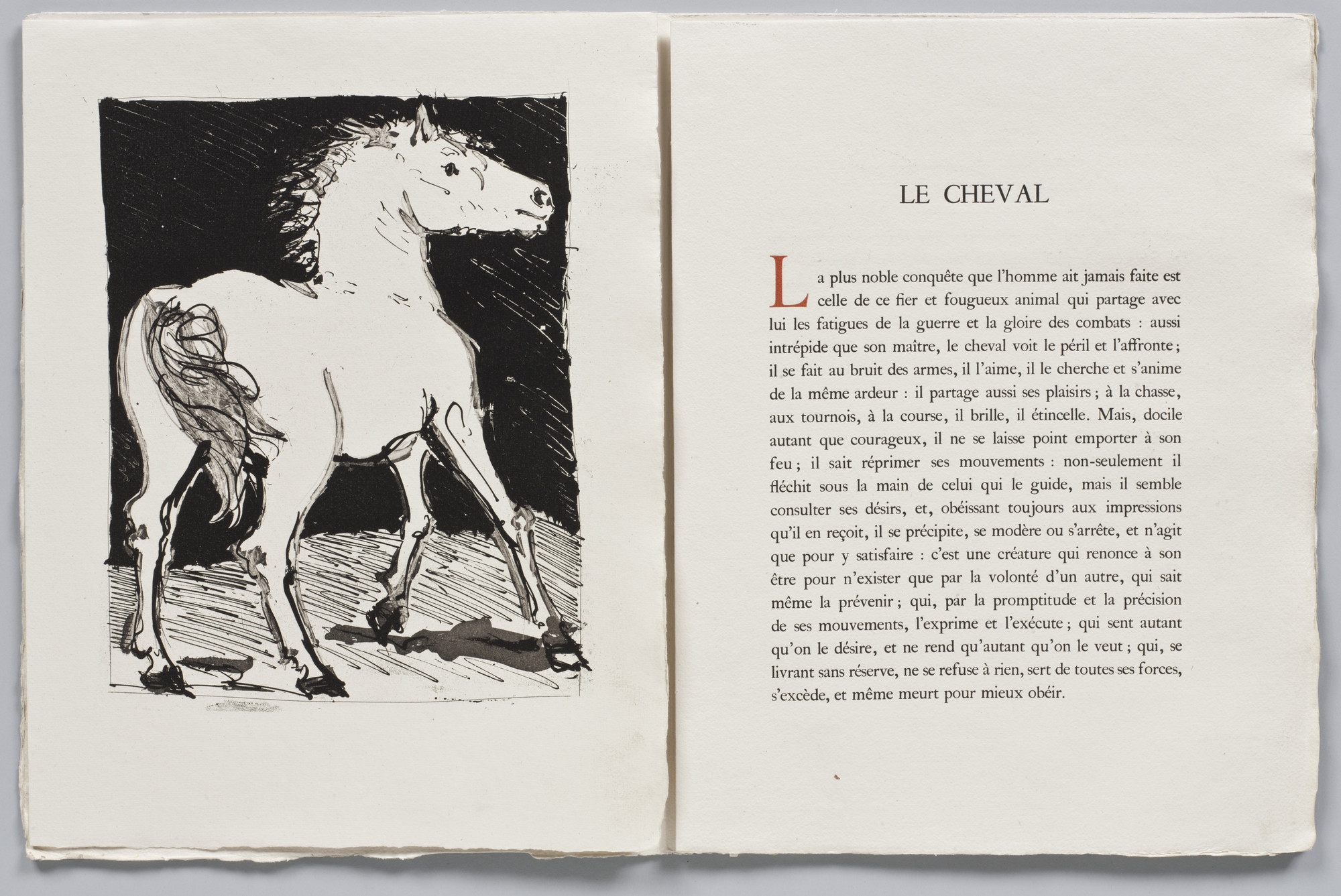 Pablo Picasso. The Horse (Le Cheval) (plate I) from Eaux-fortes originale pour des textes de Buffon (Histoire naturelle). 1936, published 1942