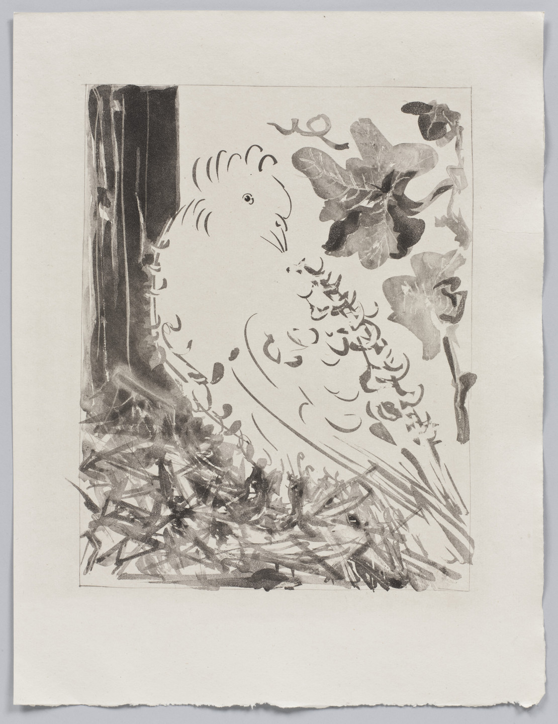 Pablo Picasso. The Pigeon (Le Pigeon) (plate facing page 126) from Eaux-fortes originale pour des textes de Buffon (Histoire naturelle). 1936, published 1942