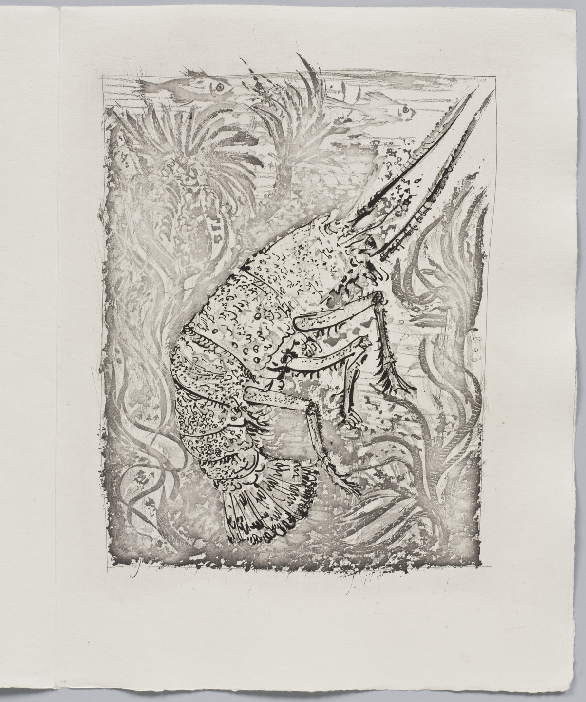 Pablo Picasso. The Crayfish (La Langouste) (plate XXV, facing page 142) from Eaux-fortes originale pour des textes de Buffon (Histoire naturelle). 1936, published 1942