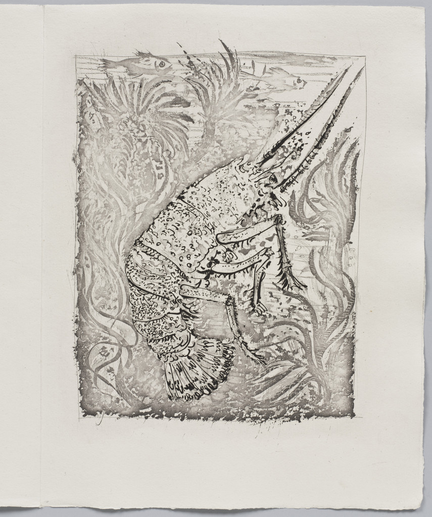 The Crayfish (La Langouste) (plate XXV, facing page 142) from Eaux-fortes originale pour des textes de Buffon (Histoire naturelle)