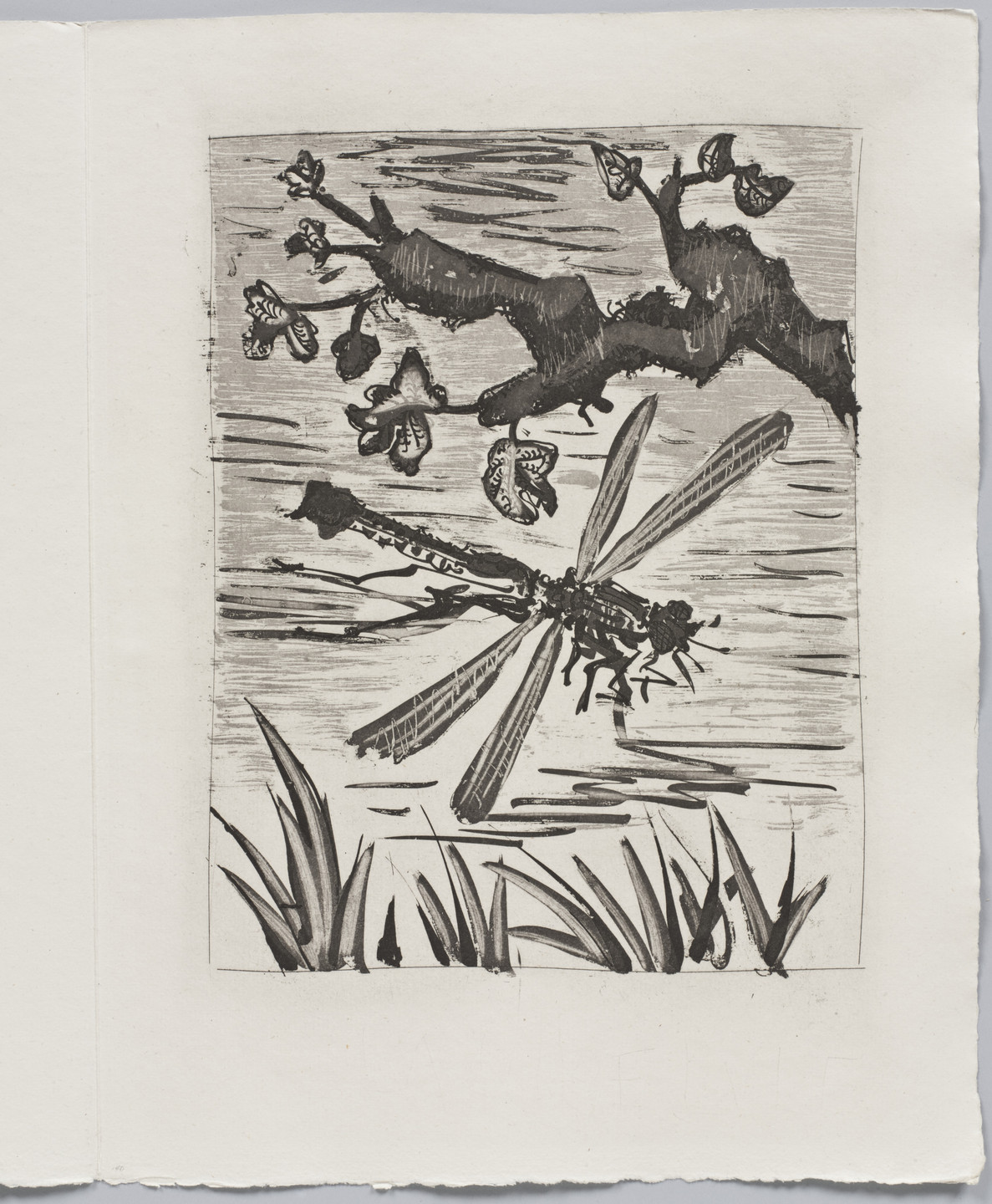 Pablo Picasso. The Dragonfly (La Libellule) (plate XXVII, facing page 146) from Eaux-fortes originale pour des textes de Buffon (Histoire naturelle). 1936, published 1942