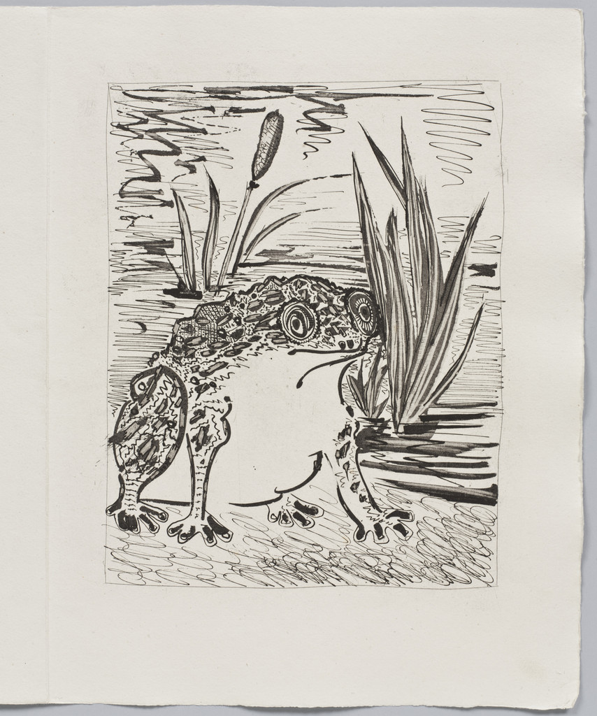 The Toad (Le Crapaud) (plate XXIX, facing page 150) from Eaux-fortes originale pour des textes de Buffon (Histoire naturelle)
