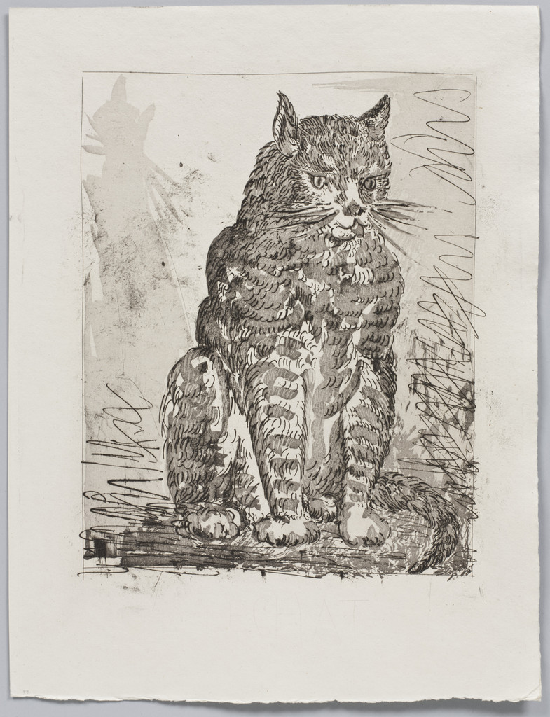 The Cat (Le Chat) (plate VI) from Eaux-fortes originale pour des textes de Buffon (Histoire naturelle)