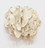 Hannah Wilke. Ponder-r-rosa 4, White Plains, Yellow Rocks. 1975