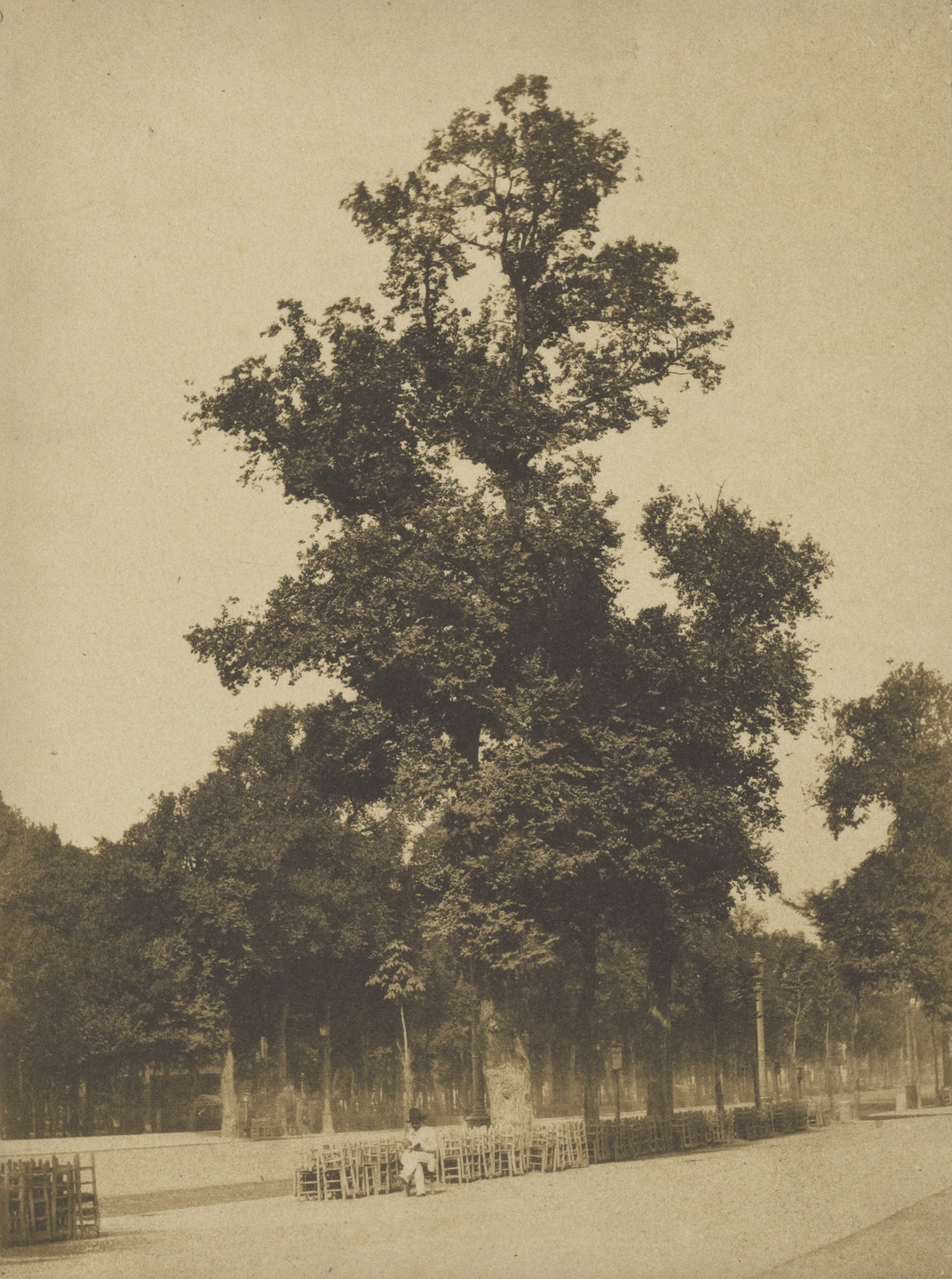 Auguste-Rosalie Bisson, Louis-Auguste Bisson. Pré Catalan, Bois de Boulogne, Paris. 1856