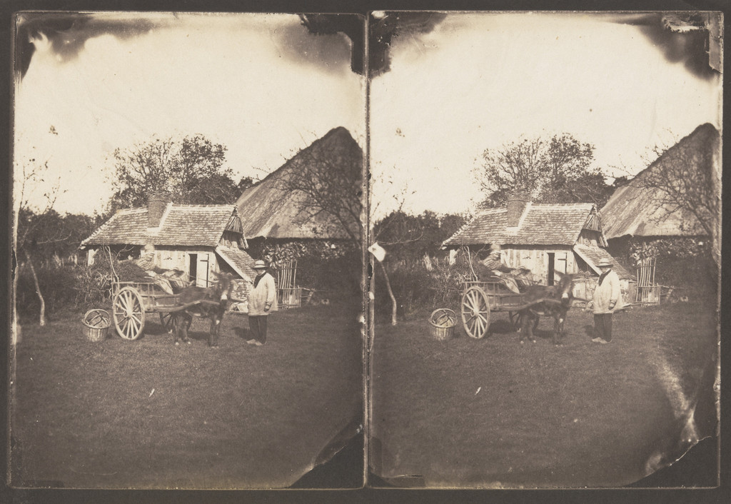 The Departure: Harnessed Donkey