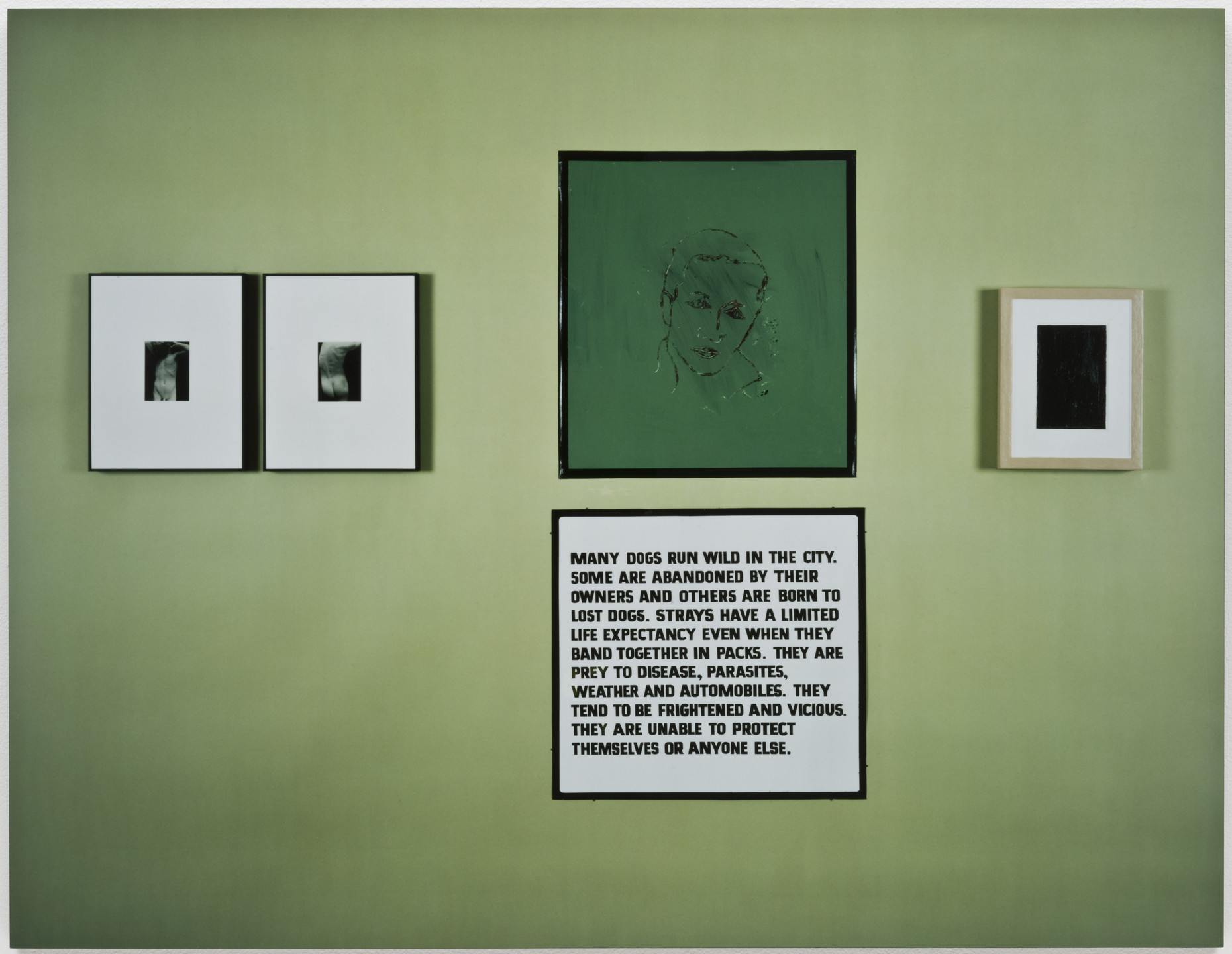 Louise Lawler. (Allan McCollum and Other Artists) Chartreuse. 1981