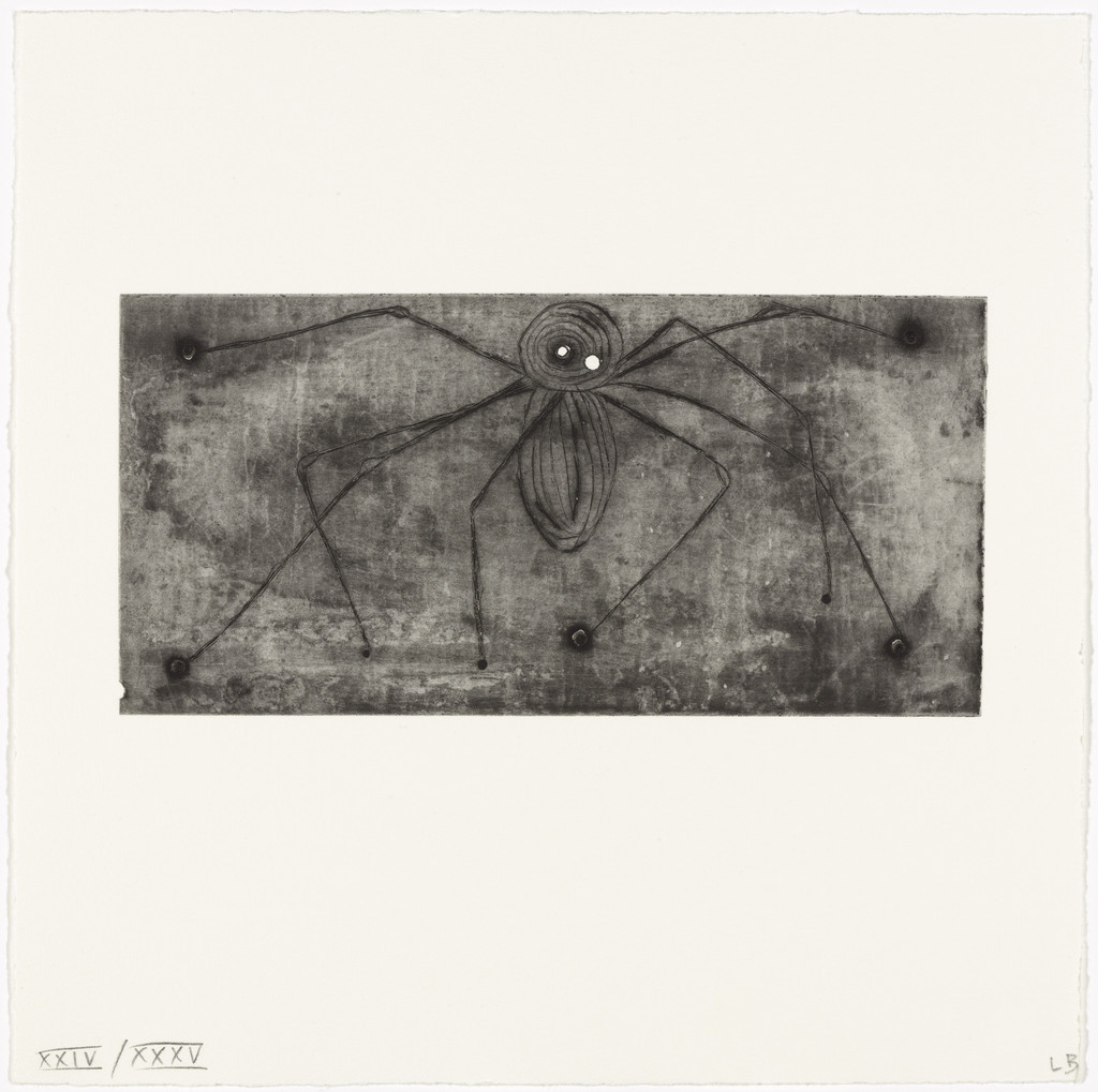 Spider