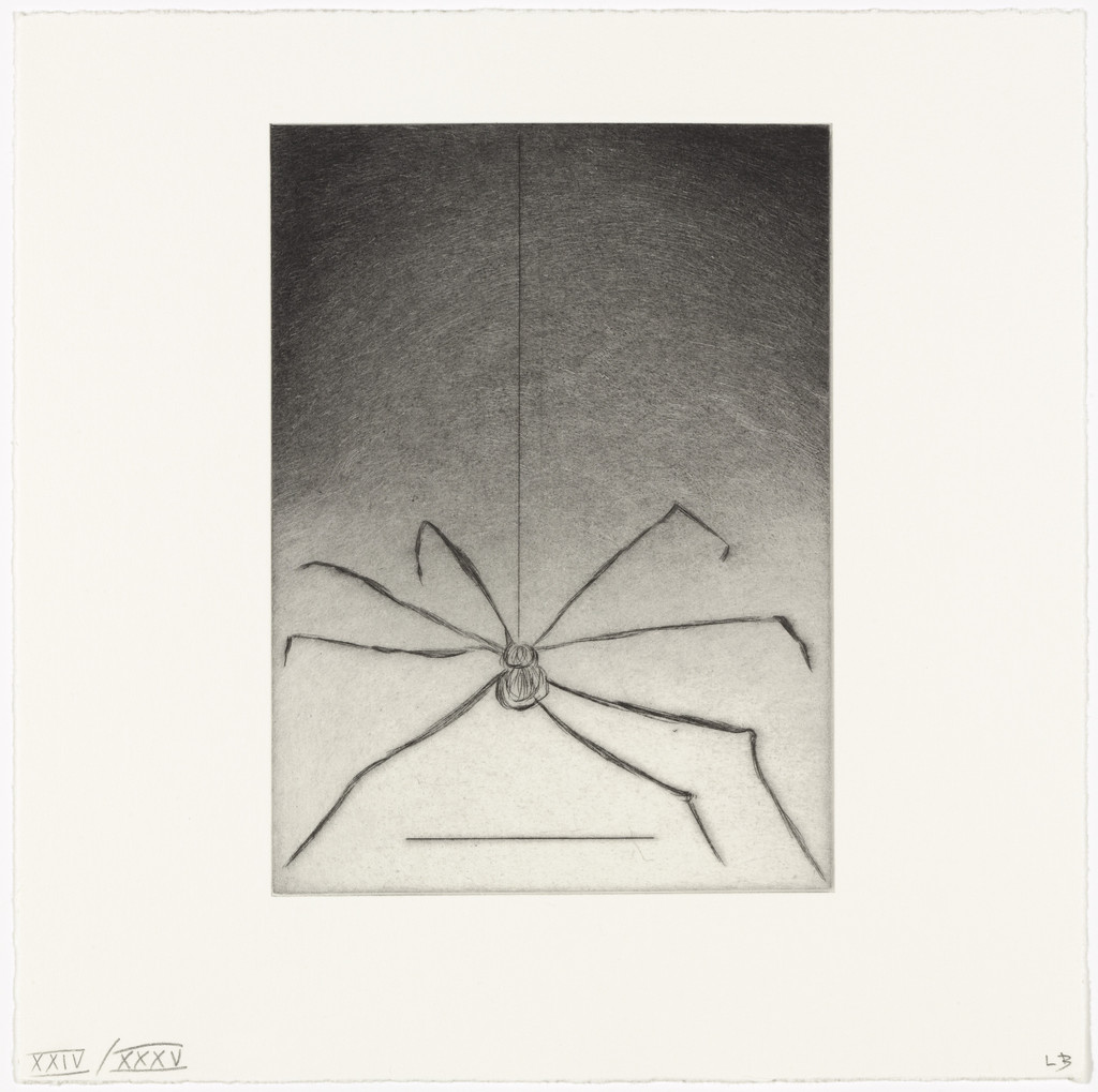 Spider
