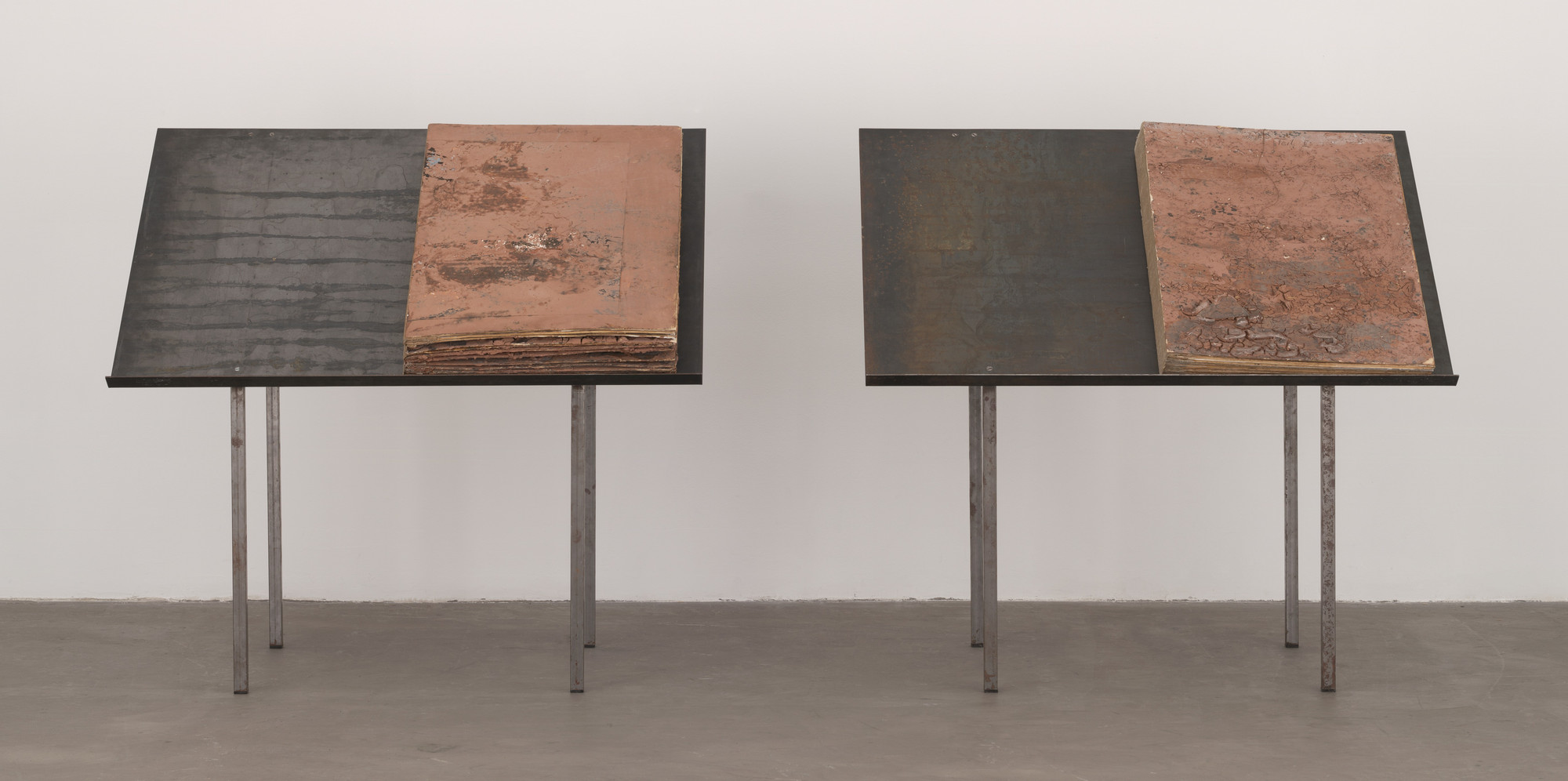 Anselm Kiefer. Splitting I and II