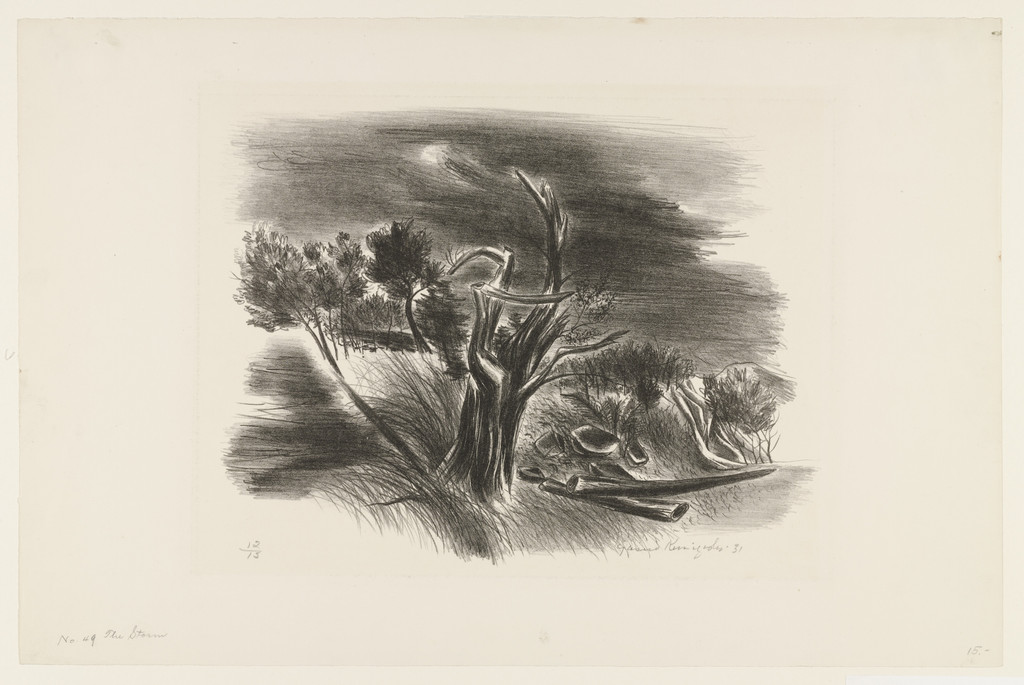 The Storm