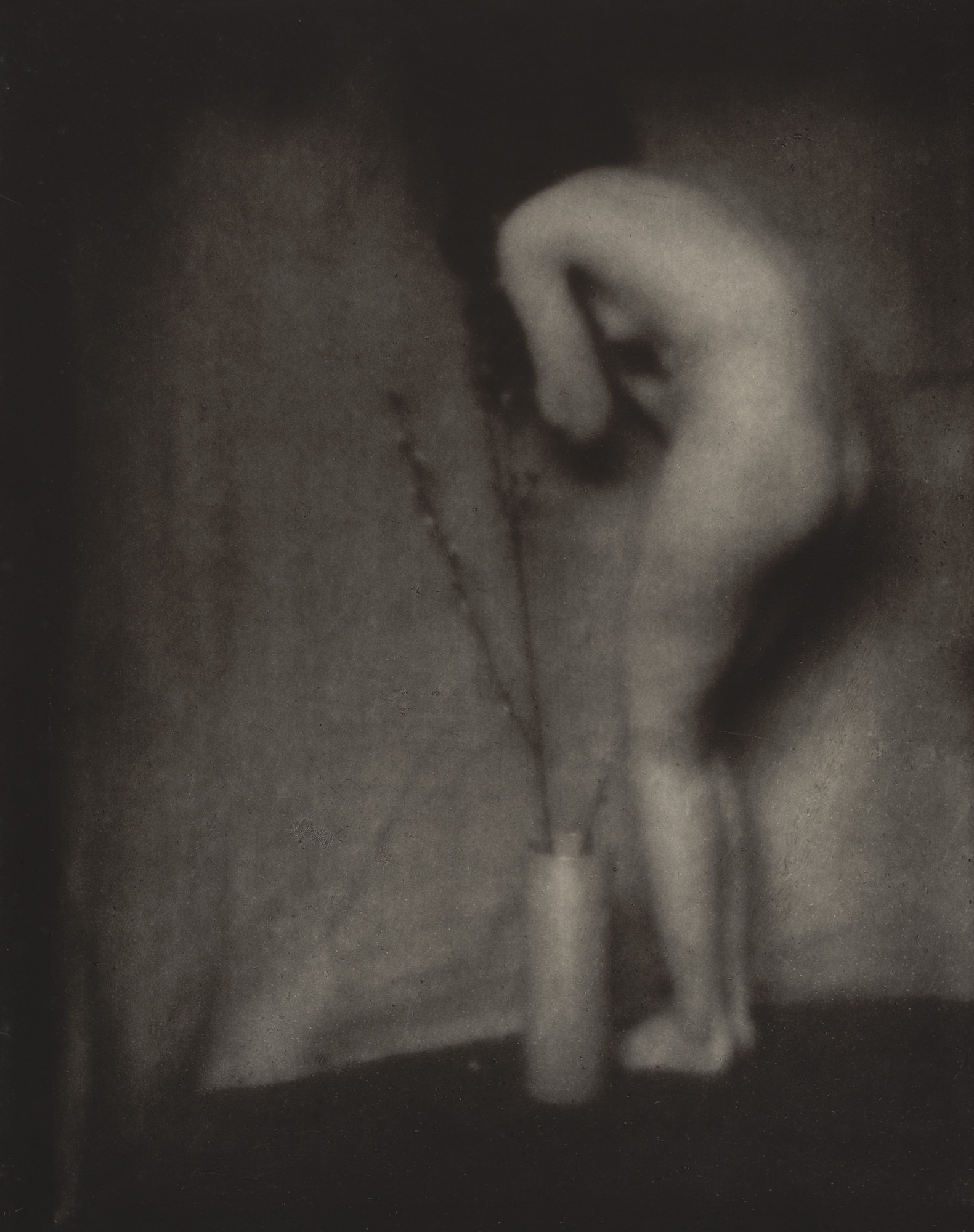 Edward Steichen. Pussy Willow