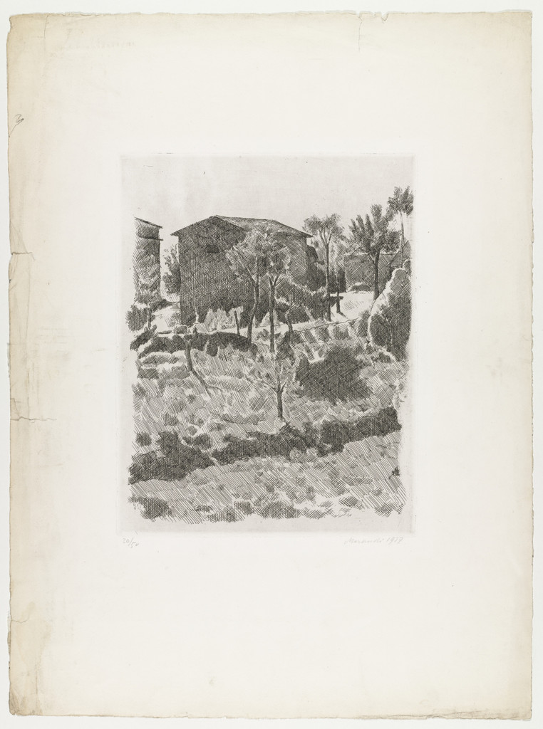 Hillside in the Morning