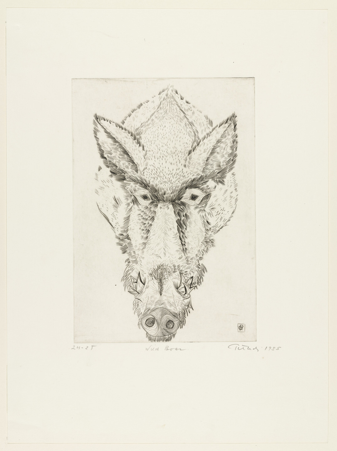Gabor Peterdi. Wild Boar. 1934, signed 1935