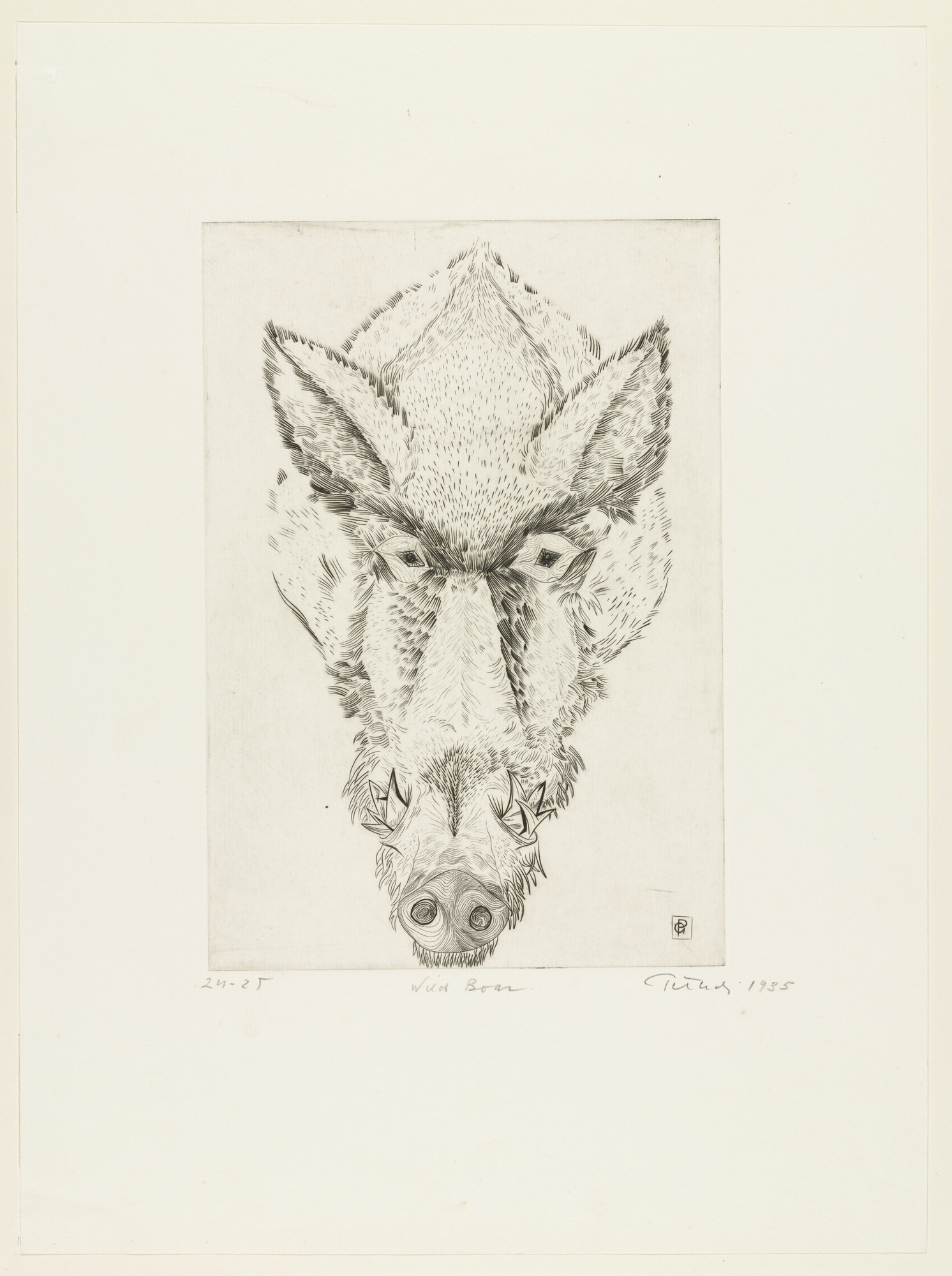 Gabor Peterdi. Wild Boar. 1934, signed 1935 | MoMA