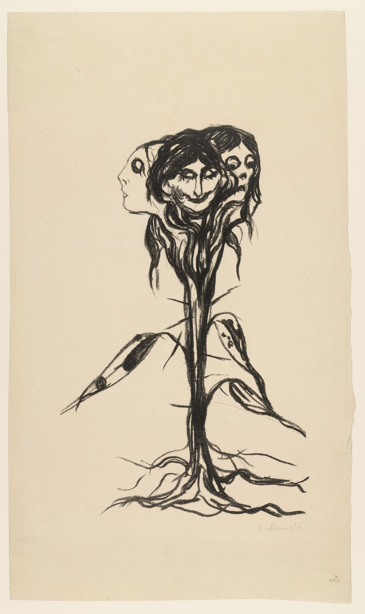 Edvard Munch. Vignette: Amaryllis