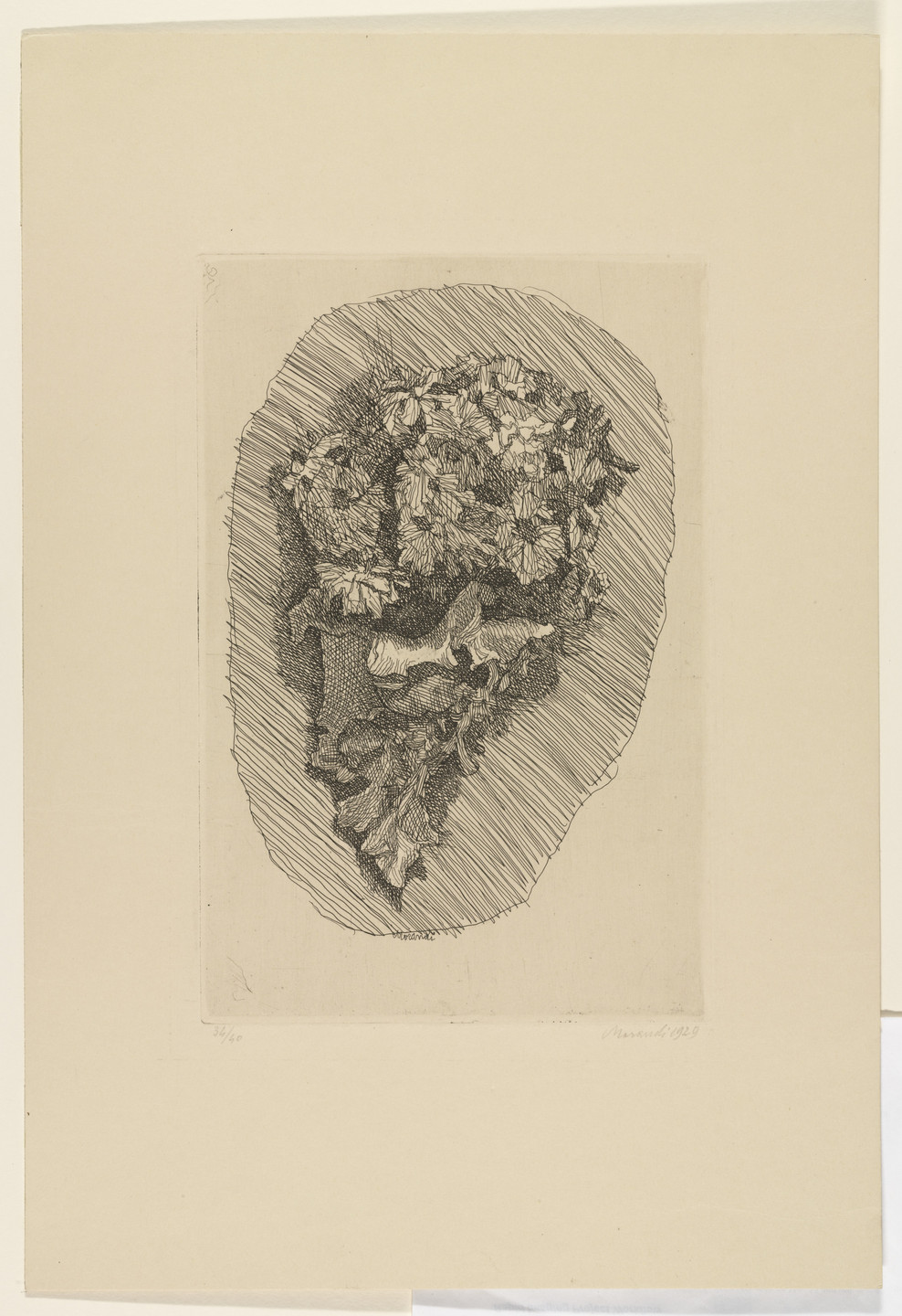 Giorgio Morandi. Flowers. 1929