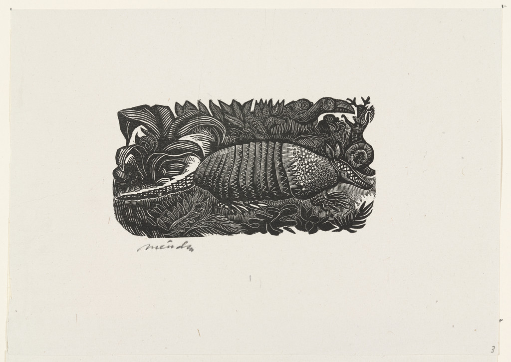 The Armadillo (Armadillo), plate 3, from the portfolio Méndez: 25 Prints [illustrations for the book "Incidentes Melódicos del Mundo Irracional" by Juan de la Cabada]