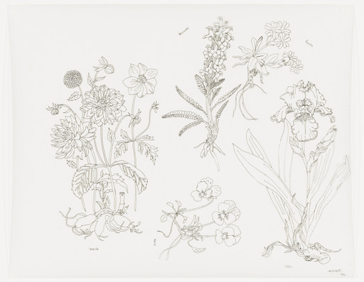 Untitled (Dahlia, Pansy, Iris, Primla, Housewort)