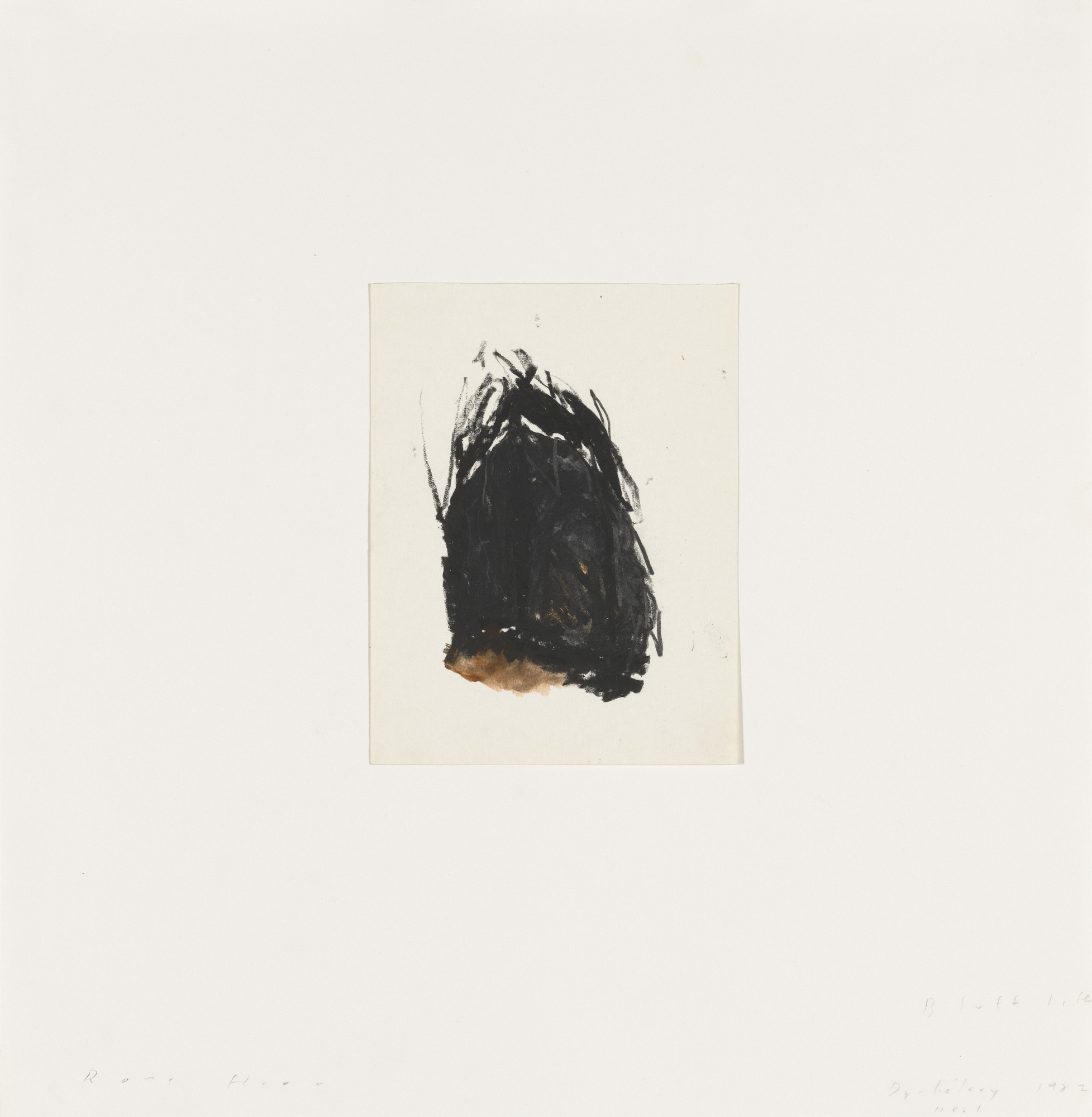 Roni Horn. Bluff Life. 1982 | MoMA
