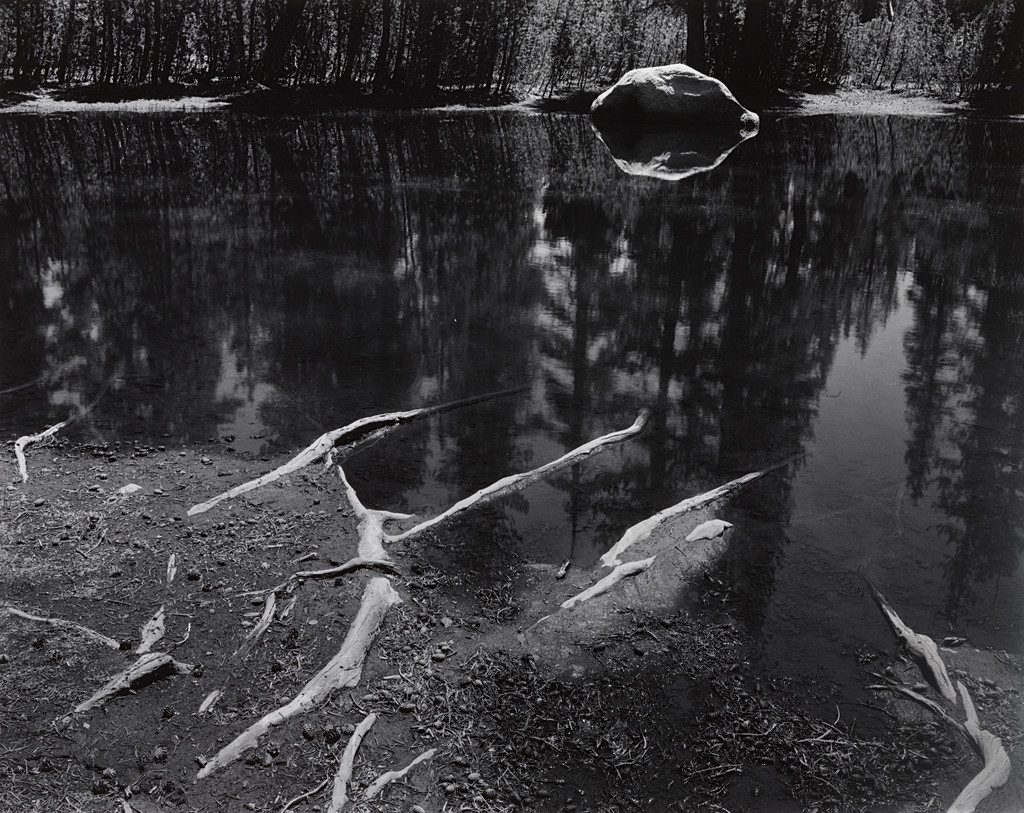 Roots and Pool near Tenaya Lake, Yosemite National Park, California