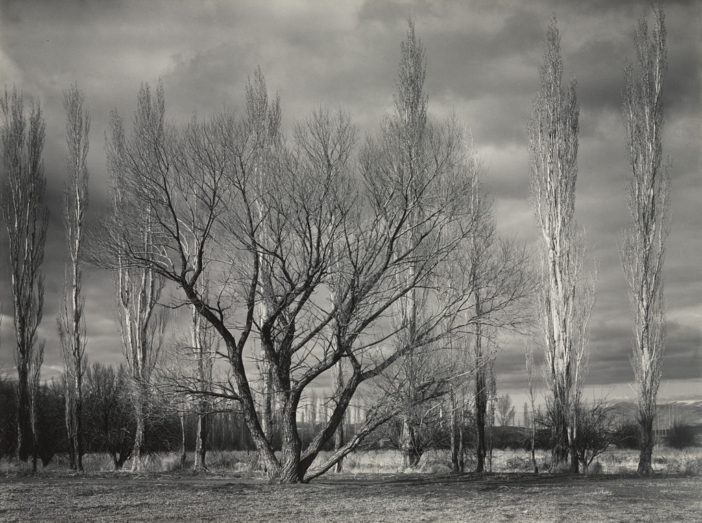Autumn Storm, Owens Valley, California