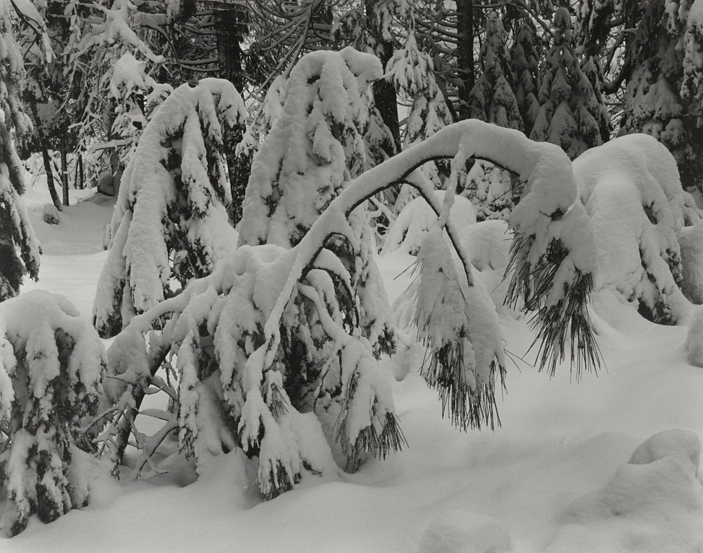 Winter, Yosemite Valley, California
