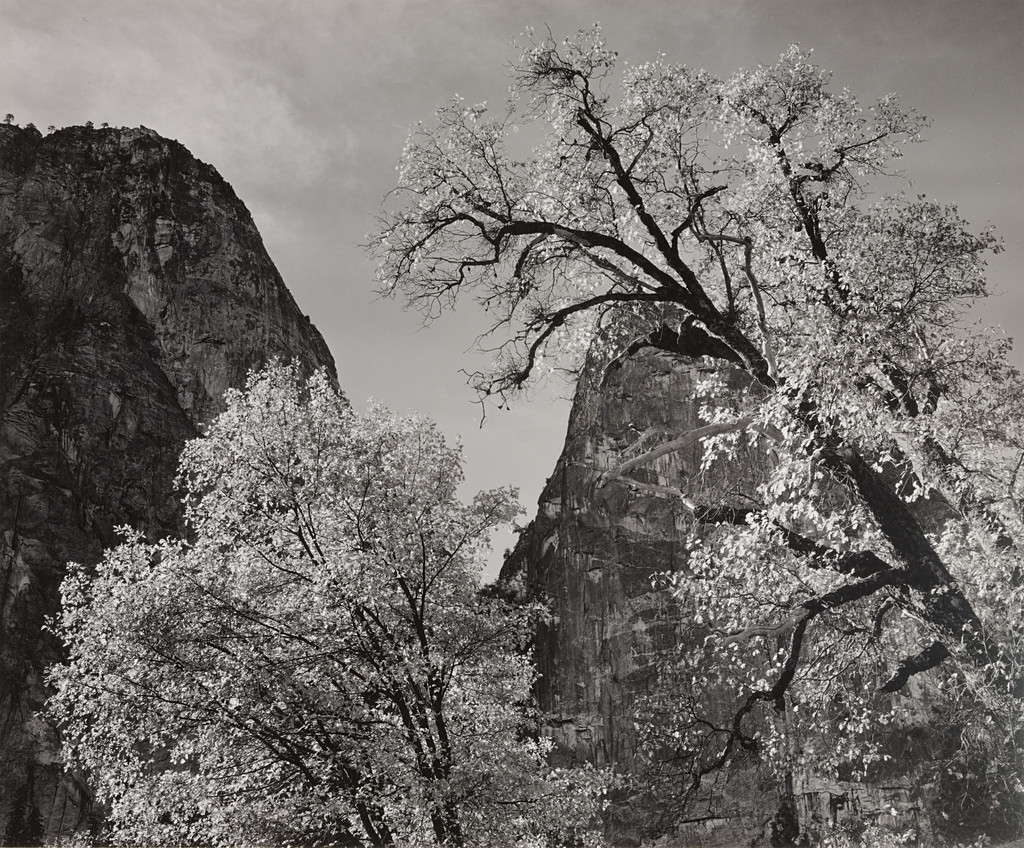 Autumn, Yosemite Valley, California