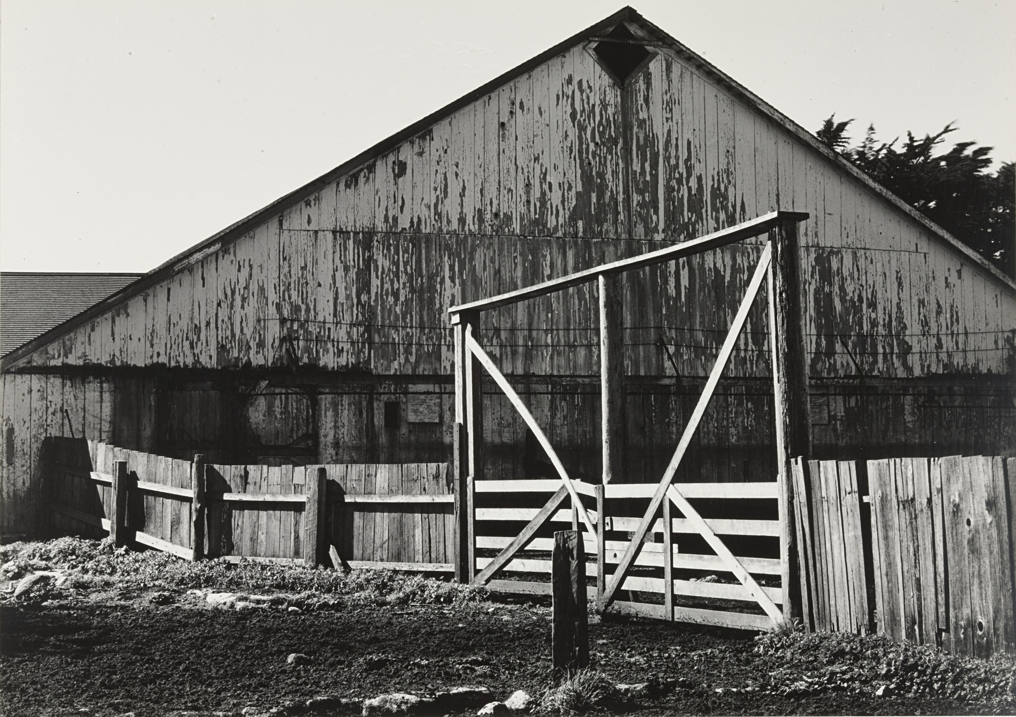 Ansel Adams. Barn, Stock Gate, Point Reyes, California