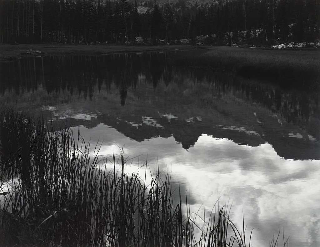 Grass and Reflections in the Lyell Fork of the Merced River, Yosemite National Park, California