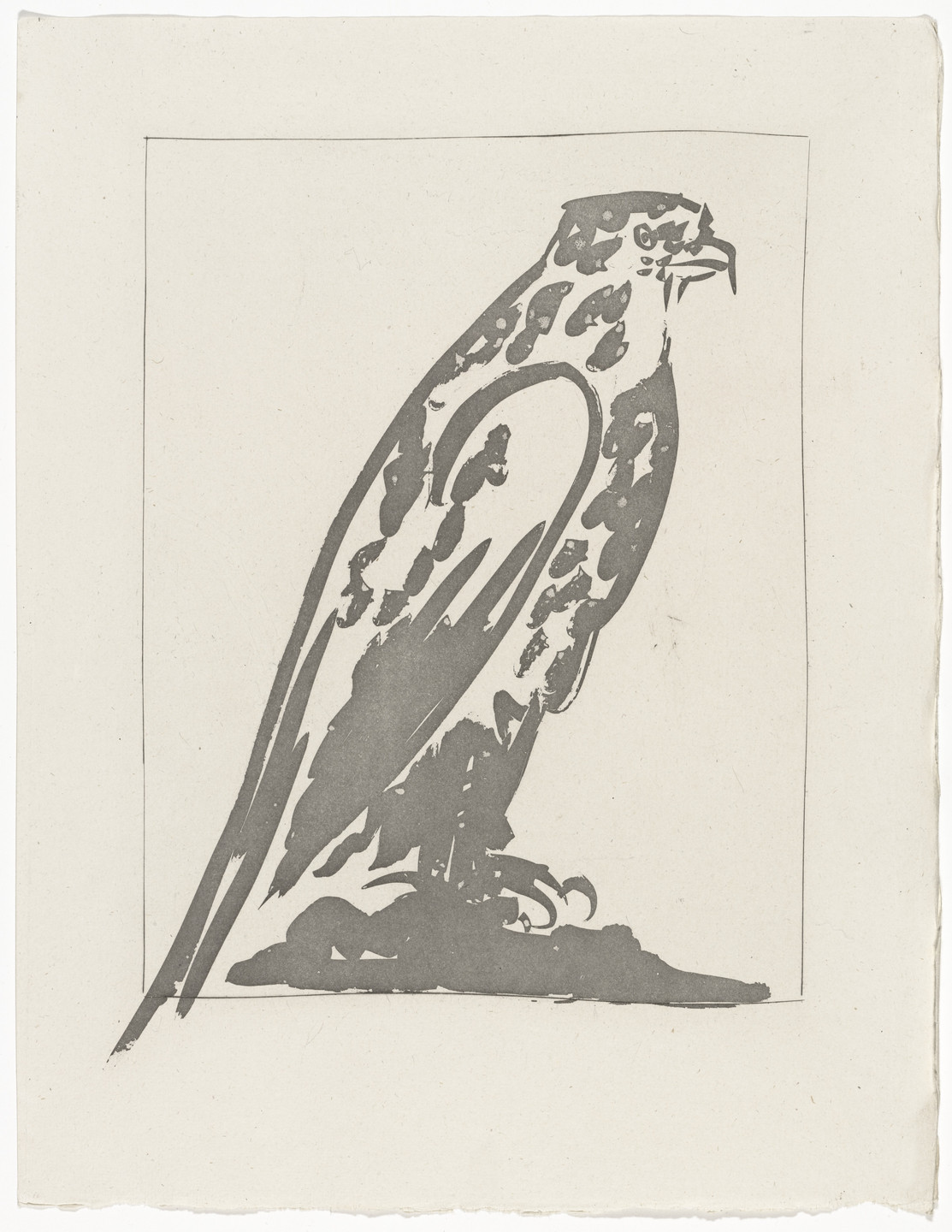 Pablo Picasso. The Hawk (L'Épervier) (plate XV, facing page 102) from Eaux-fortes originale pour des textes de Buffon (Histoire naturelle). 1936, published 1942