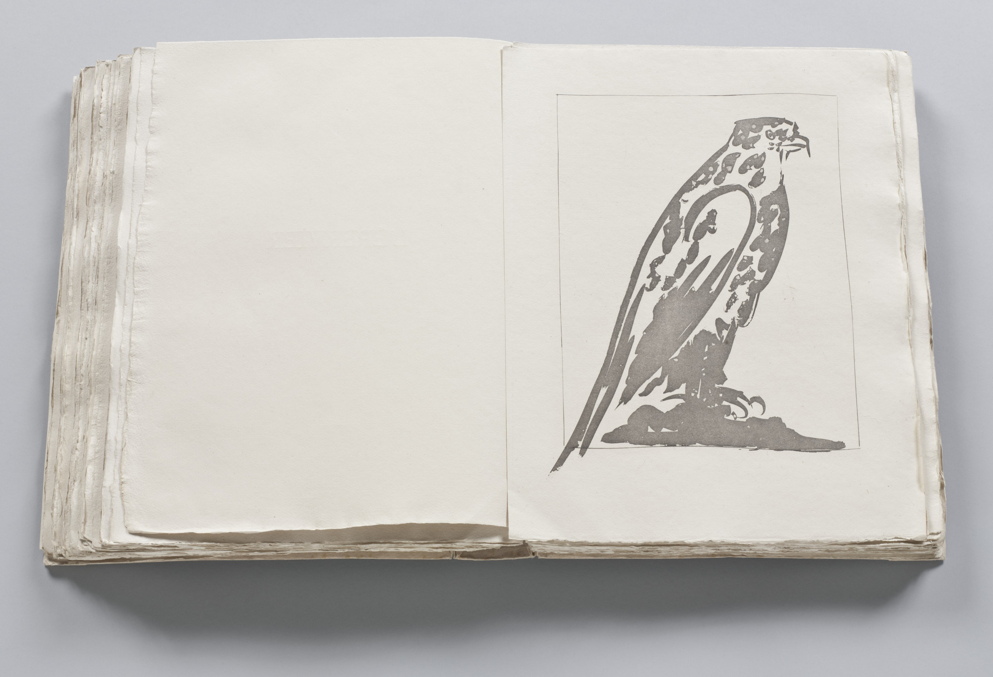 Pablo Picasso. The Hawk (L'Épervier) (plate XV, facing page 102) from Eaux-fortes originale pour des textes de Buffon (Histoire naturelle). 1936, published 1942
