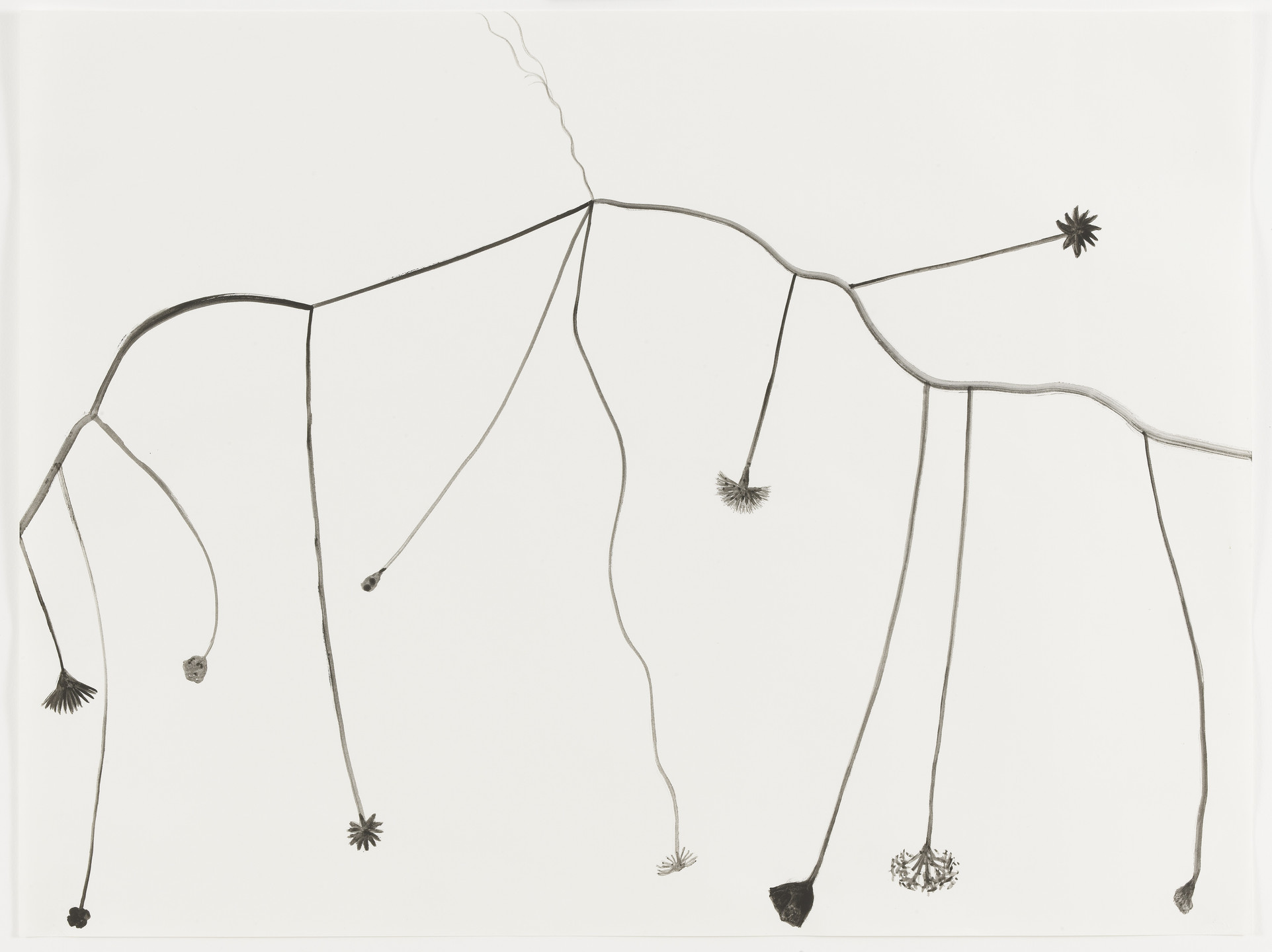 Silvia Bächli. Untitled. 1998