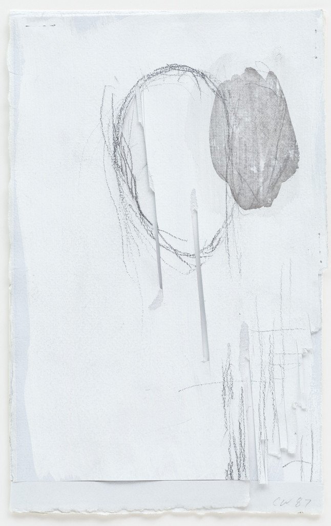 Twelve Drawings from the Forty-Fourth Year:  Emanation (for Enzo Nocera), No. 1