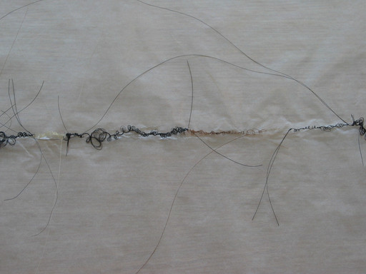 Fil de Crin (Horsehair yarn)