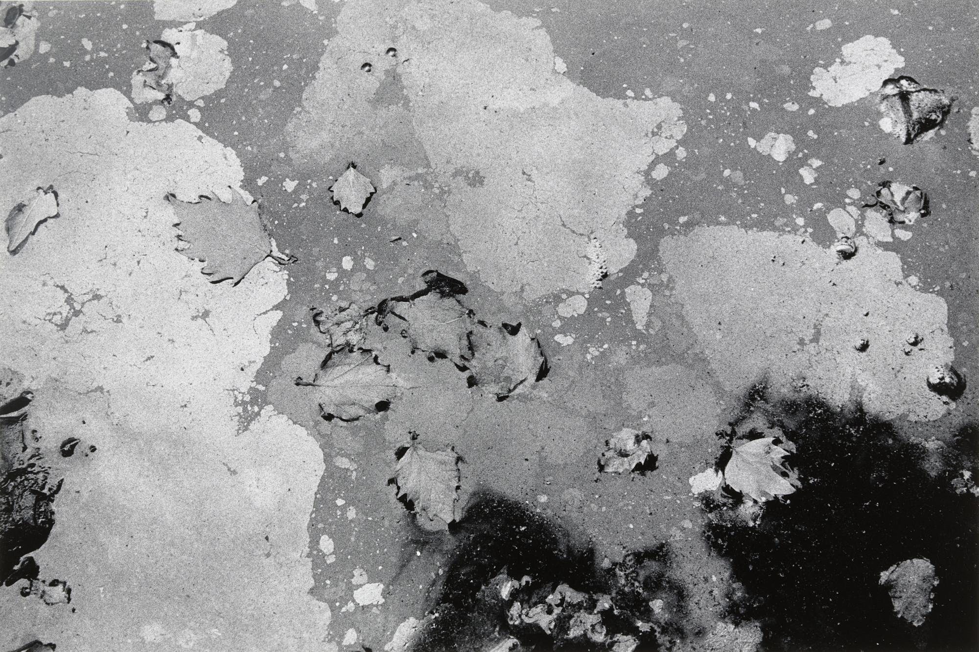 Joseph Dankowski. Gutter